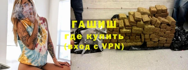индика Володарск