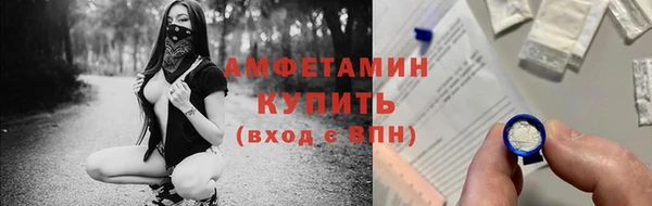индика Володарск