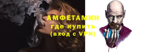 индика Володарск