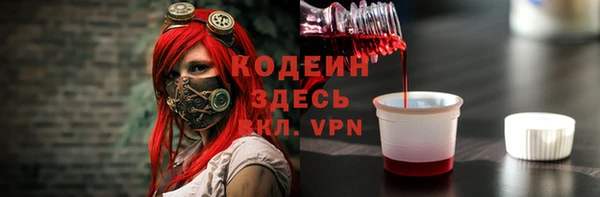 индика Володарск