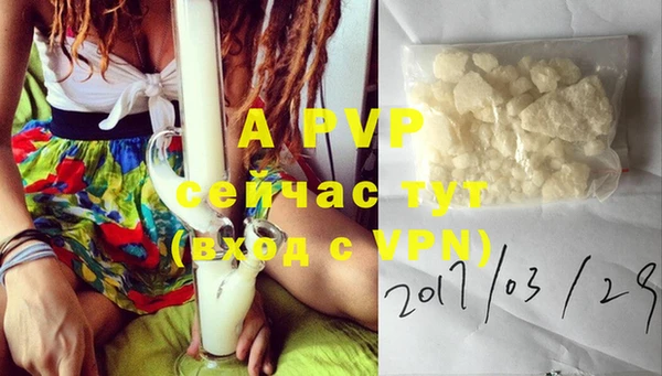 ГАЛЛЮЦИНОГЕННЫЕ ГРИБЫ Верея