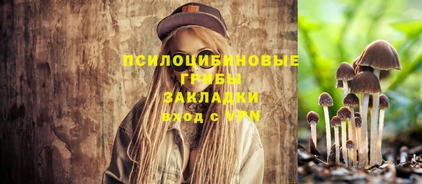 индика Володарск