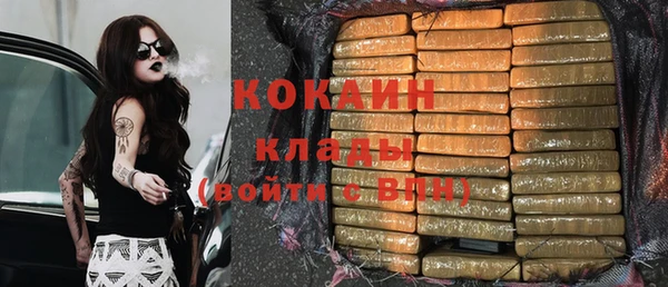 ГАЛЛЮЦИНОГЕННЫЕ ГРИБЫ Верея