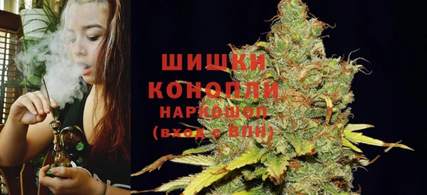 ГАЛЛЮЦИНОГЕННЫЕ ГРИБЫ Верея