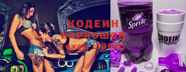 индика Володарск