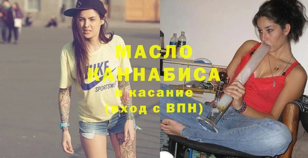 индика Володарск