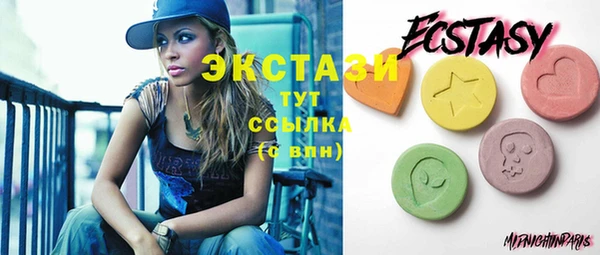 индика Володарск